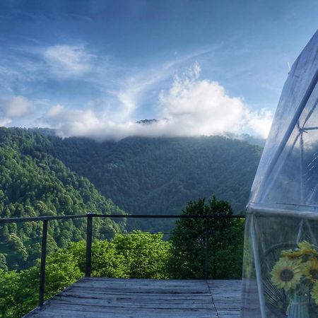 Hotel Mtirala Glamping à Chakvistavi Extérieur photo